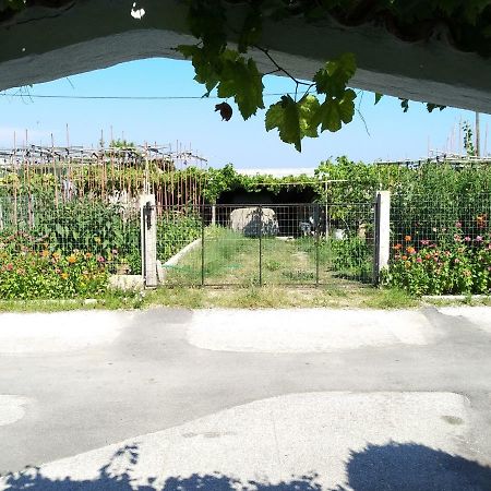 Grigorios Apartments Nea Vrasna Bagian luar foto