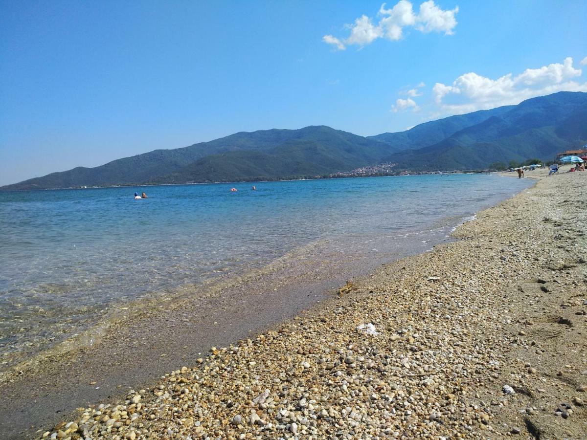 Grigorios Apartments Nea Vrasna Bagian luar foto
