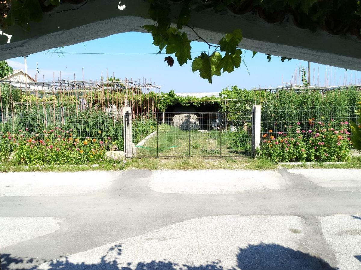 Grigorios Apartments Nea Vrasna Bagian luar foto